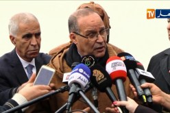 بوعزقي: “الفلاحين ما رماوش منتوجهم…وهذا دليل على وفرة الإنتاج في السوق”