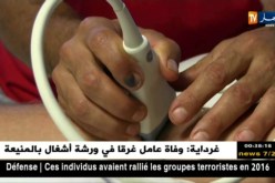 الريغبي في الجزائر…رياضة فتية تشق طريقها نحو الأضواء