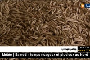 فلاحة: حلم تحقيق الإكتفاء الذاتي للقمح يتلاشى أمام إستمرار الإستيراد