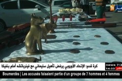 ثقافة/ إسترجاع أكثر من 4 آلاف ممتلك ثقافي خلال السداسي الأول من السنة الجارية