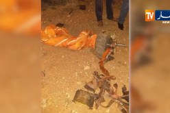 تيارت: وفاة عسكريين في حادث سقوط طائرة مقاتلة من نوع SU24 ببلدية الرشايقة
