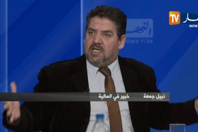 خبير في المالية يفجر فضيحة..هذا ما وجدت من إختلاسات في الخزينة العمومية