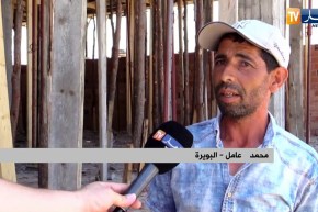 البويرة: مشروع إستثماري يتحول من أرض بور إلى أرض زراعية