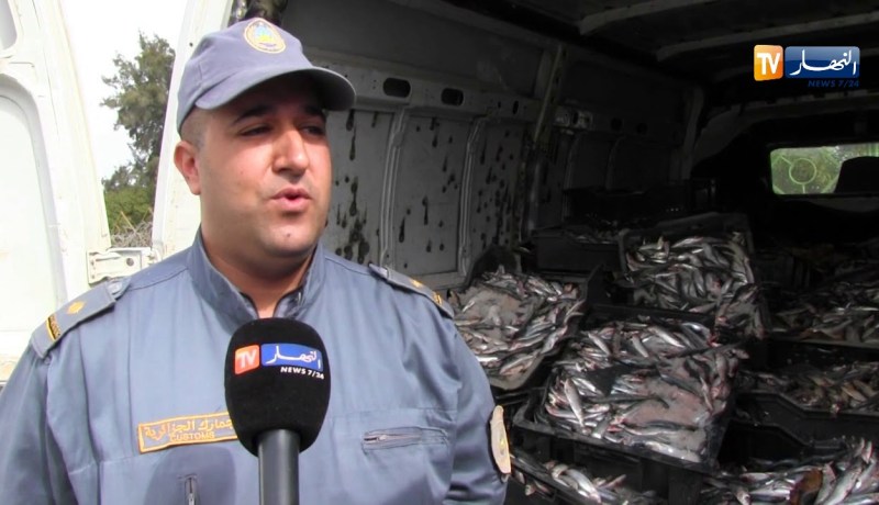 أم البواقي/ حجز 20 قنطارا من السمك غير الصالح للإستهلاك