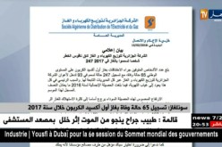سونلغاز: تسجيل 65 حالة وفاة بغاز أول أكسيد الكربون خلال سنة 2017