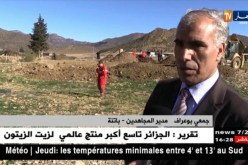 باتنة/ إنطلاق عملية إستخراج رفاة شهداء من بئر ببلدية واد الشعبة
