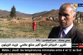 باتنة/ إنطلاق عملية إستخراج رفاة شهداء من بئر ببلدية واد الشعبة