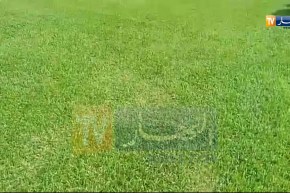 شاهد أرضية الملعب الذي سيحتضن مباراة الخضر أمام البنين