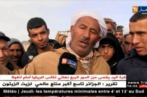 بسكرة/ تذبذب في عملية توزيع الأعلاف على الموالين رغم وفرتها