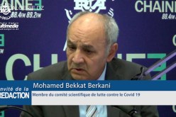 بقاط بركاني: لقاح كورونا سيوزع مجانا على المواطنين