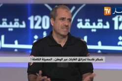 خسائر فادحة لحرائق الغابات عبر الوطن…الحصيلة الكاملة