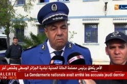 عنابة: الإطاحة بشبكة مختصة في صيد المرجان وتهريبه