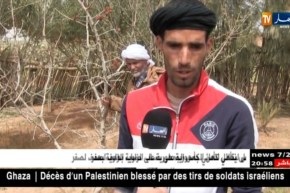 الجلفة: زراعة الفستق.. نتائج باهرة وسط أهداف مستقبلية واعدة