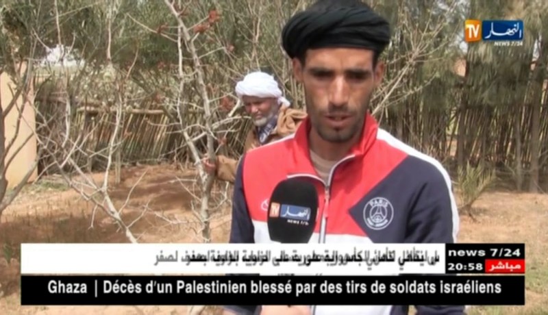 الجلفة: زراعة الفستق.. نتائج باهرة وسط أهداف مستقبلية واعدة