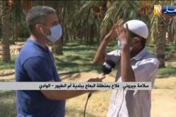 مراسل النهار:  فلاحو الوادي ينادون بإزالة المخالفات النفطية بمجرى وادي بأم الطيور