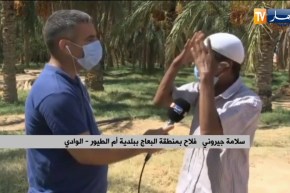 مراسل النهار:  فلاحو الوادي ينادون بإزالة المخالفات النفطية بمجرى وادي بأم الطيور