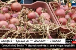 تجارة/ منتوج وفير في أسواق الجملة للخضر والفواكه..الأسعار تشهد إستقرار