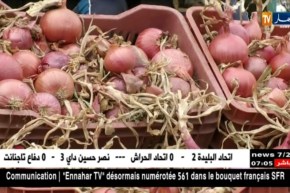 تجارة/ منتوج وفير في أسواق الجملة للخضر والفواكه..الأسعار تشهد إستقرار