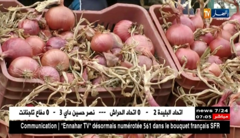 تجارة/ منتوج وفير في أسواق الجملة للخضر والفواكه..الأسعار تشهد إستقرار