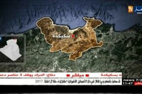 دفاع: قوات الجيش توقف إرهابي مبحوث عنه بسكيكدة