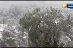 البيض .. مشاهد ساحرة لتساقط الثلوج صبيحة اليوم