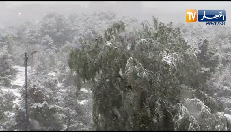 البيض .. مشاهد ساحرة لتساقط الثلوج صبيحة اليوم