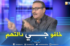 عقيد متقاعد: هناك أطراف تريد تهويل قضية توقيفات الألوية لكي لا يصل الدور عليها