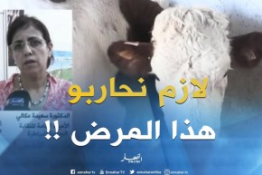 الدكتورة سعيدة عكالي : ” يجب الحذر والتجنيد لمحاربة الحمى القلاعية !! “