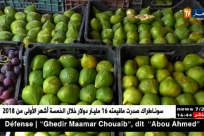 بعد وقف الإستيراد.. هل عوضت الفواكه الجزائرية نظيرتها المستوردة ؟