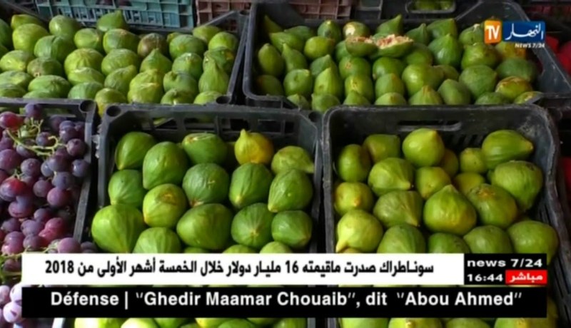 بعد وقف الإستيراد.. هل عوضت الفواكه الجزائرية نظيرتها المستوردة ؟