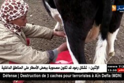 البيض:منتجو الحليب يشتكون صعوبات في التسويق لغياب وحدات الإنتاج