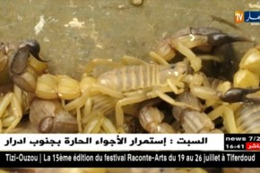 هكذا يتم إستخراج المصل المضاد للتسمم العقربي