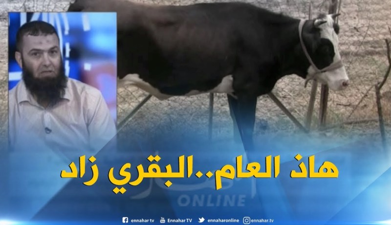 جزائريون يفضلون لحم البقر على لحم الغنم..!