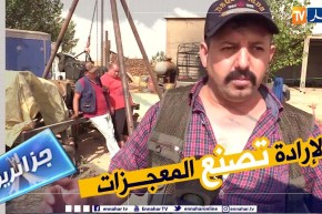 جزائريون: أحمد ينجح في تحويل أرض بور إلى جنة خضراء
