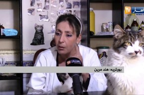 بدرة..عندما يطغى الجانب الإنساني عن البيطرة