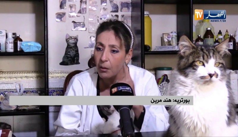 بدرة..عندما يطغى الجانب الإنساني عن البيطرة