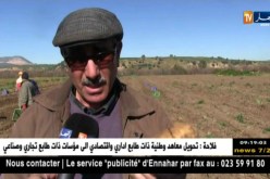 قالمة: تسجيل إنتاج وفير للبطاطا غير الموسمية رغم نقص المياه