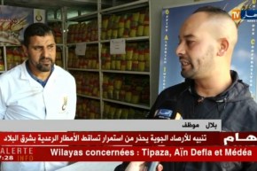 تجارة: هكذا هي أسعار البقوليات الجافة في نقاط بيع الديوان المهني للحبوب