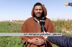 أدرار: الصقيع يستبب في تلف منتوج الطماطم و الفلاحون يطالبون بالتعويض