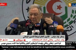 ولد عباس/ “كنا في 15 إمرأة نائب ولينا في 155…وهذا بفضل بوتفليقة”