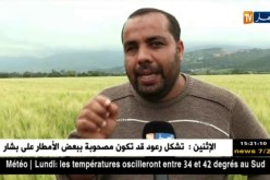 فلاحة: كراء الأراضي الفلاحية..عبء يثقل كاهل الفلاحيين المنتجين
