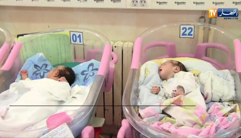 صحة: تسجيل مليون ولادة حية سنويا.. ووزارة الصحة تفكر في تحديد النسل !