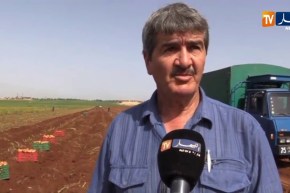 لقاء وطني للتعريف بالتقنيات الجديدة في مجال زراعة البطاطا بالبويرة