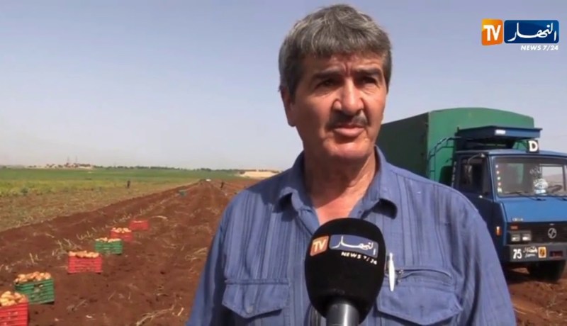 لقاء وطني للتعريف بالتقنيات الجديدة في مجال زراعة البطاطا بالبويرة