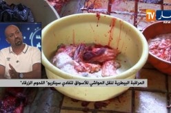 المراقبة البيطرية لنقل المواشي للأسواق لتفادي سيناريو “اللحوم الزرقاء”