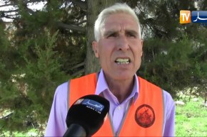 ميلة: طائر التدرج العادي في بيئة محمية لضمان التكاثر قبل إطلاقه طريدة