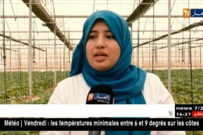 المركب الصّناعي الفلاحي “غمرة” ..هكذا استغلّت حرارة المياه الباطنية في الفلاحة