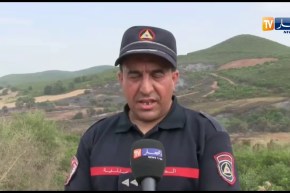 إنقاذ عشرات العائلات من الحرائق بمنطقة “فرفور” بسكيكدة