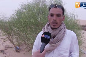 الوادي: خسائر كبيرة للفلاحين بسبب الرياح وأعطاب في التيار الكهربائي