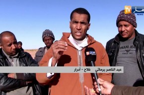 أدرار: جاهزية محصول الذرة ووفرته يقابل كساد الإنتاج وغياب التسويق